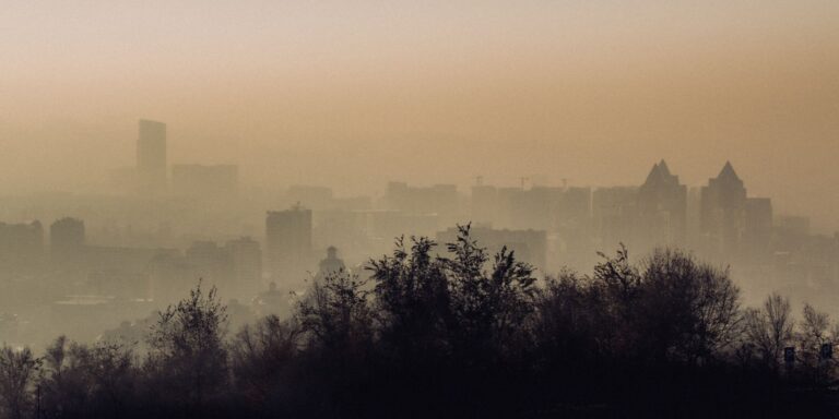 PM2.5 : quelle valeur est saine ?