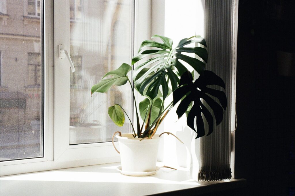 air purifier bright room